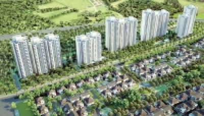 MPA Tran Du Travel: Real estate is not "porridge"