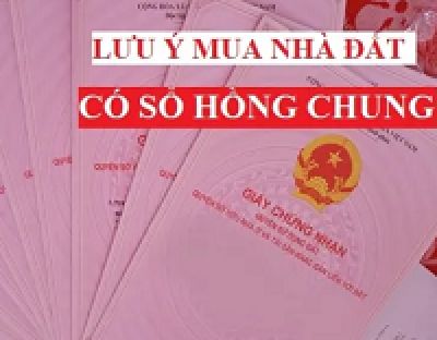 Những lưu &yacute; khi mua b&aacute;n nh&agrave; đất c&oacute; sổ hồng chung